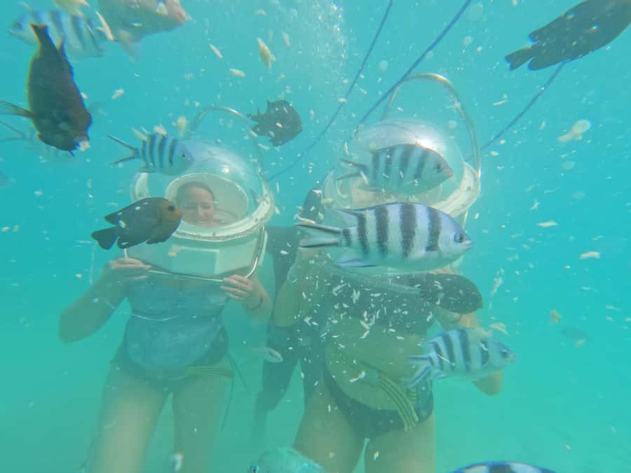 Undersea Walk & Beaches in The North With Transportation - Key points before you book
