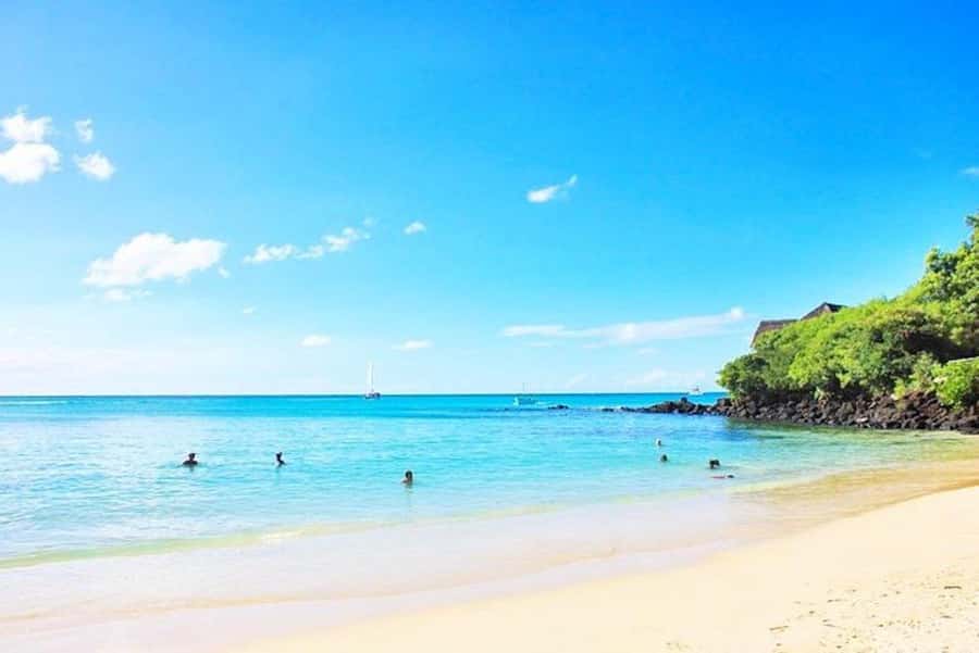 Undersea Walk & Beaches in The North With Transportation - A gentle introduction to Mauritius underwater
