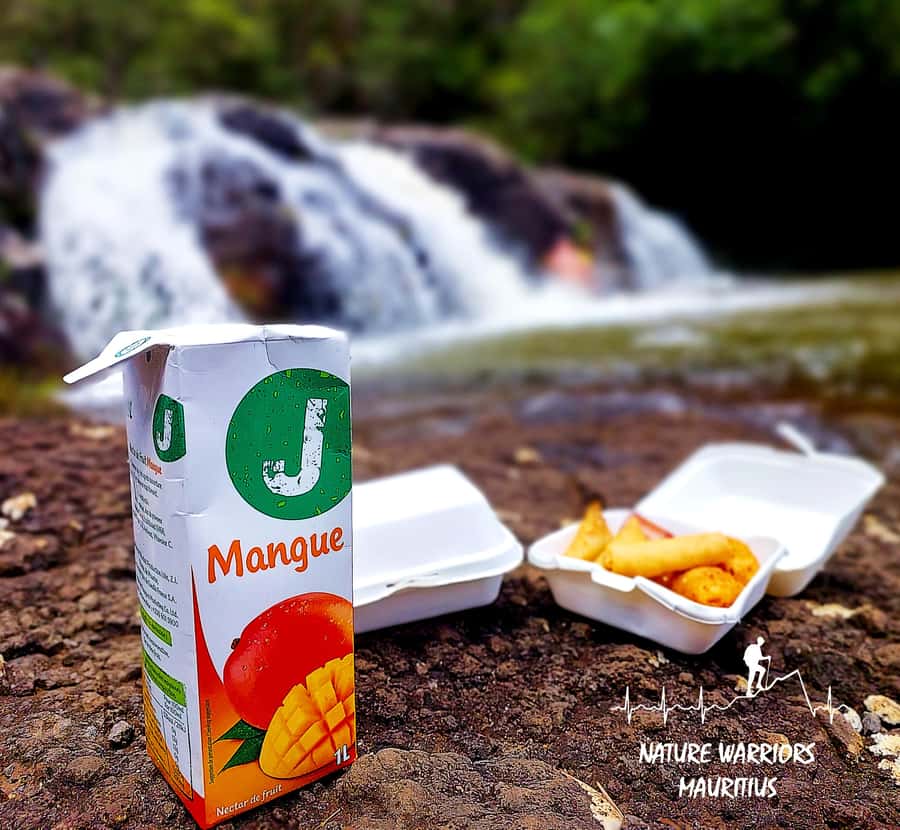 Vacoas-Phoenix: Private Hiking Tour to Tamarind Falls - Local snacks after the walk