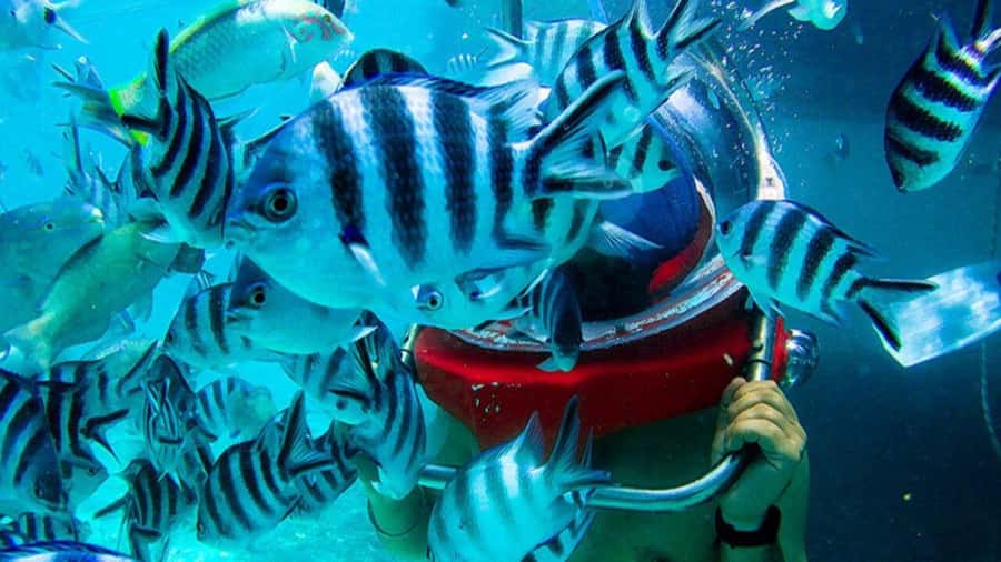 Walking under the sea in Mauritius with transfer - What this Mauritius sea walk really offers