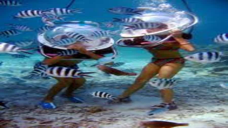 Walking under the sea in Mauritius with transfer - Is $170 per person good value?
