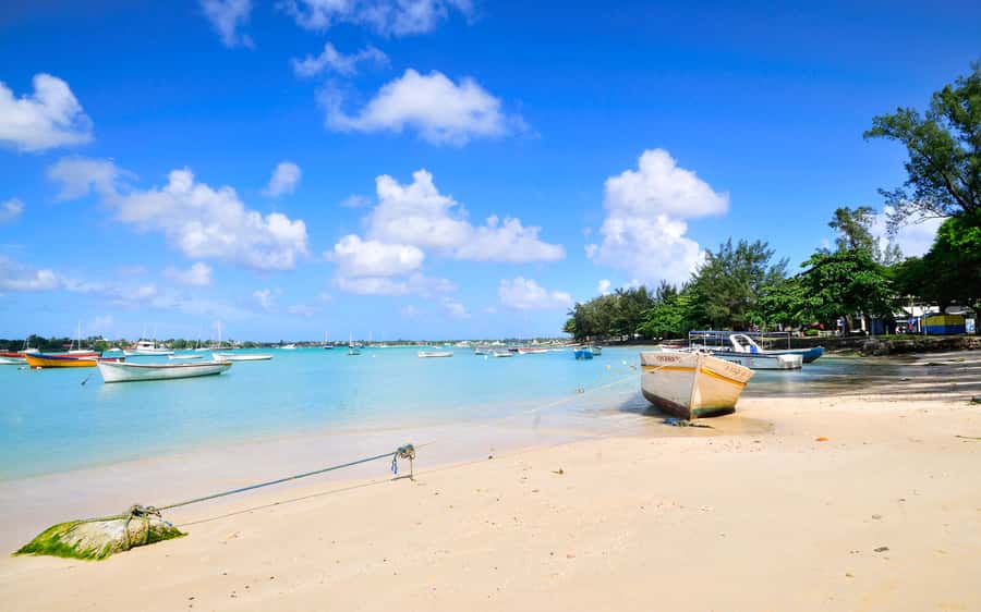 West: Swim wz dolphins, Crystal Rock, Lunch Benitiers island - Should you book the West Mauritius dolphin trip?