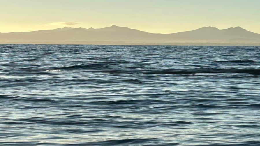 Whale & Dolphins Swimming - Private Speedboat Exclusive Tour - Languages, timing, and what to bring