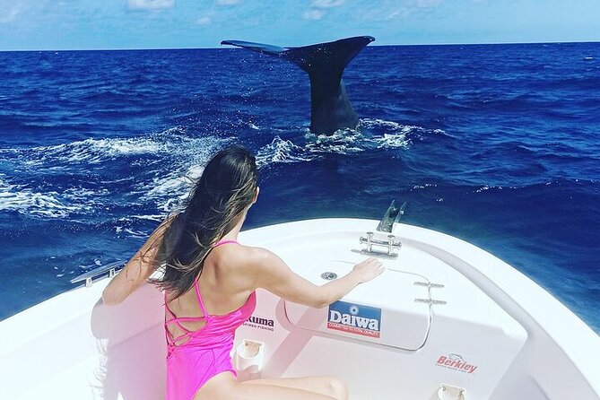 Whale Dream ltd - Whales watching and swim with dolphins - The skippers and the feel of the boat