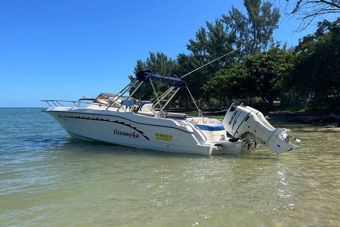 Whale Watching and Private Ocean Safari Experience in Mauritius - Whale watching between Le Morne and Albion
