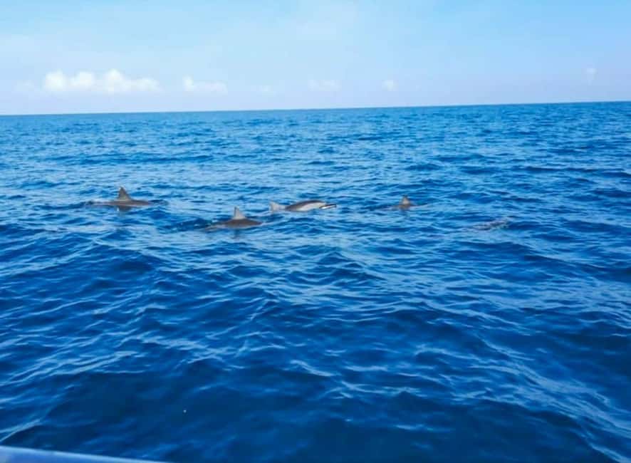 Wild Dolphin Encounter & Snorkeling Adventure – Mauritius. - An early start off the Mauritius coast