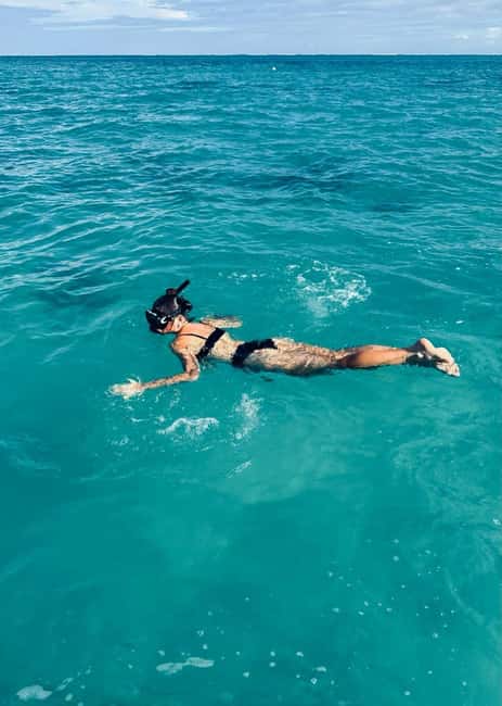 Wild Dolphin Encounter & Snorkeling Adventure – Mauritius. - Swimming rules and the human side of the trip