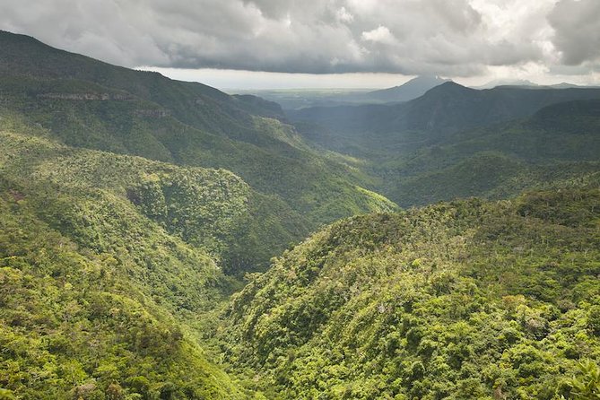 Wild South: Full-Day tour incl Rhumerie St Aubin, Bois cheri Tea factory & Lunch - Gris-Gris Beach and the force of the Indian Ocean