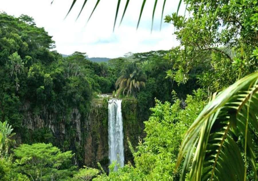 Wild South West Private Tour with pick up - Key Points to Know Before You Book