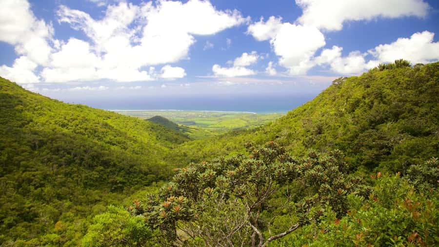Wild South West Private Tour with pick up - Grand Bassin and the Island’s Sacred Hindu Center