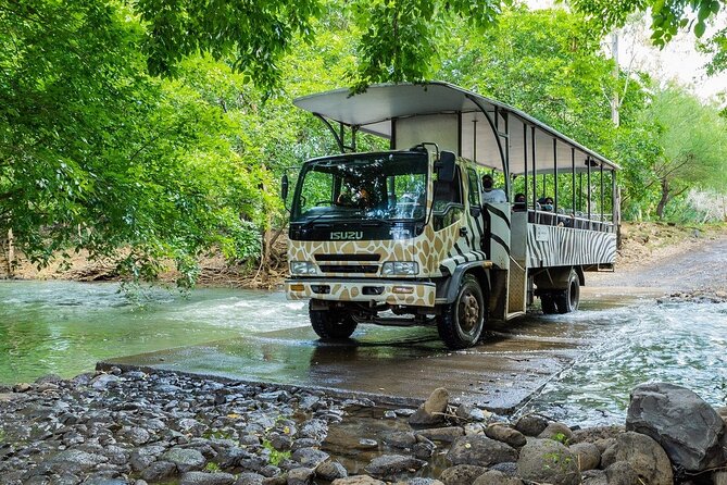 Wild South West Tour : SAFARI & TULAWAKA CASELA PARK & LE MORNE - Pizza lunch at Cascavelle Shopping Mall